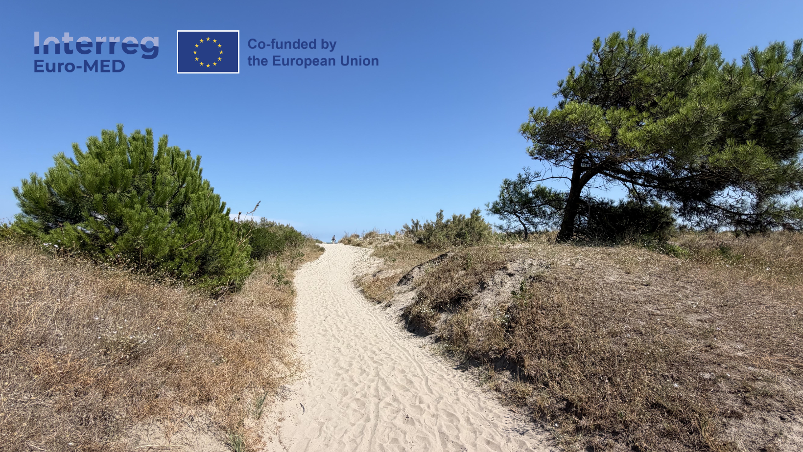 Percorso in spiaggia che porta al mare