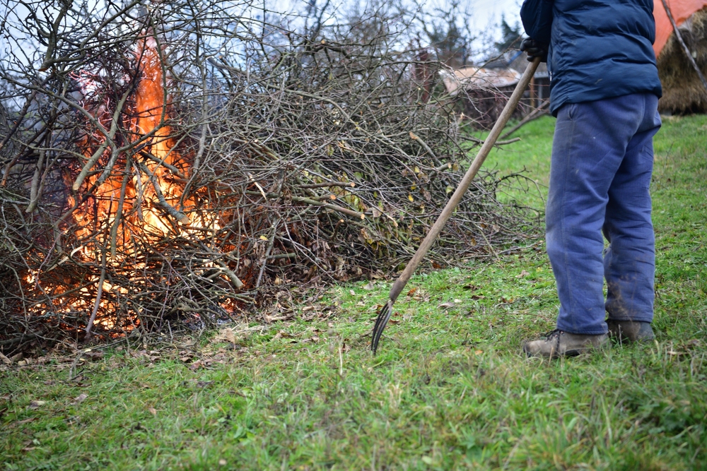 pira di rovi in fiamme